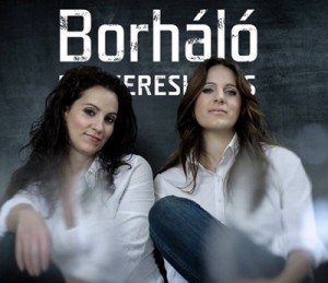 borhalo-web